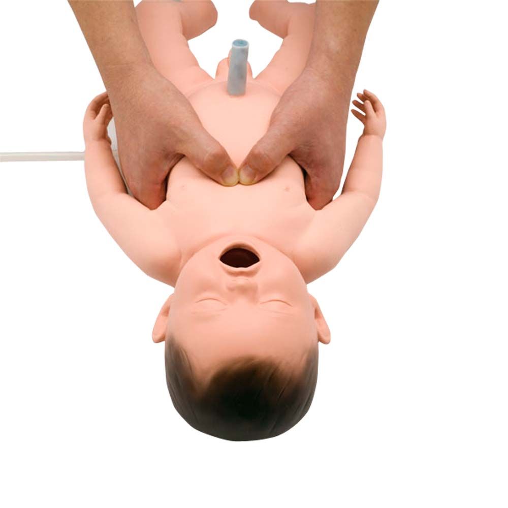 Erler Zimmer Trainer - Intubation and Reanimation Neonate