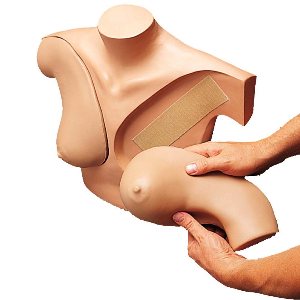 Erler Zimmer Simulator - Breast Self Examination