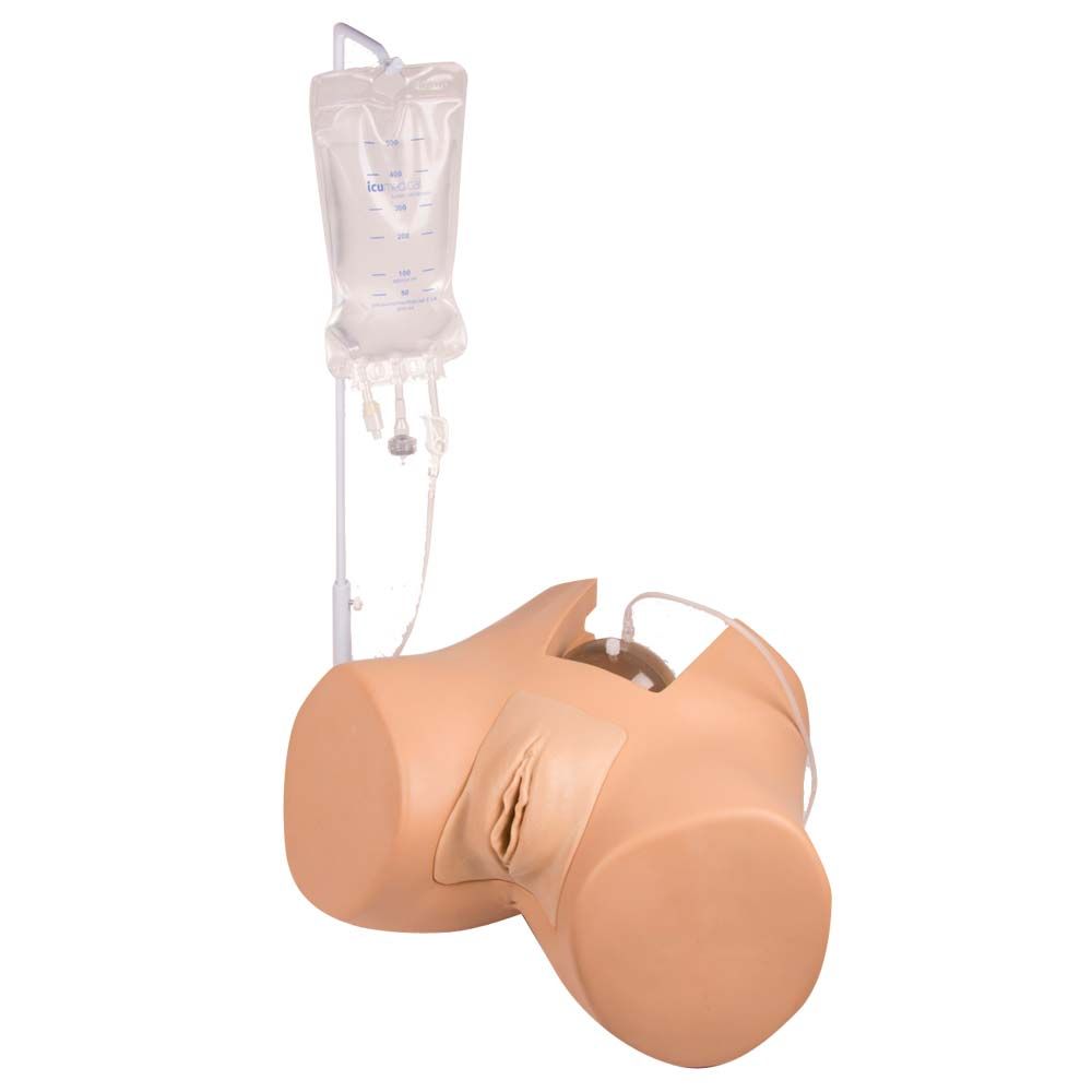 Erler Zimmer Catheterization Trainer/Genital Insert, "Florence"