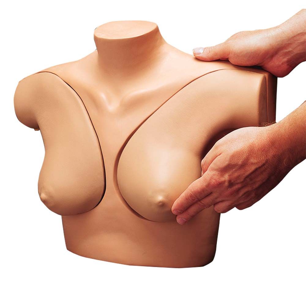 Erler Zimmer Simulator - Breast Self Examination