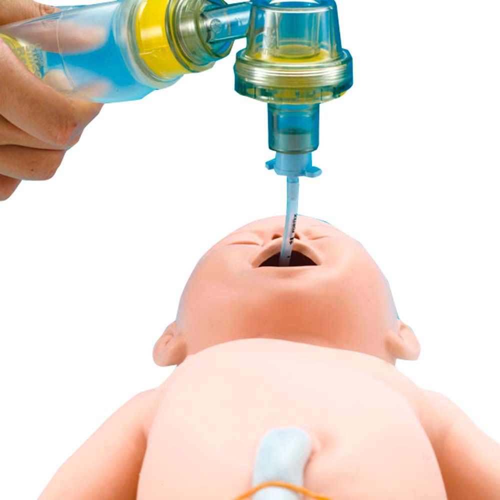 Erler Zimmer Trainer - Intubation and Reanimation Neonate