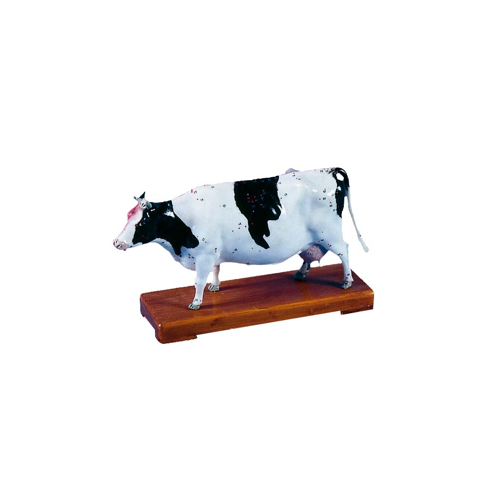 Erler Zimmer Acupuncture Animals with Muscles, Cow, 15cm