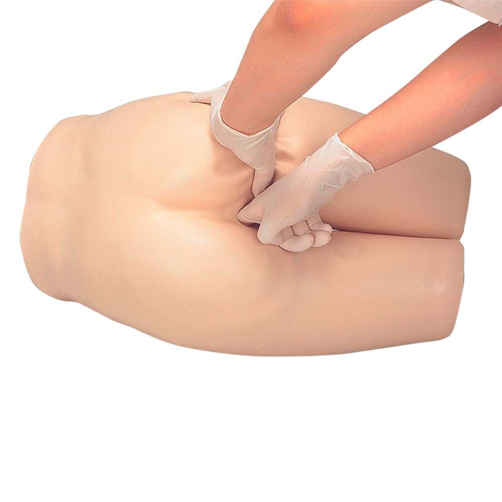 Erler Zimmer - Enema Training Model, Lower Torso