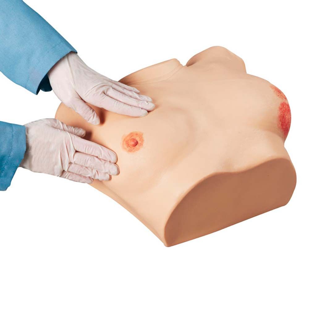 Erler Zimmer Advanced Medical Breast Examination Simulator