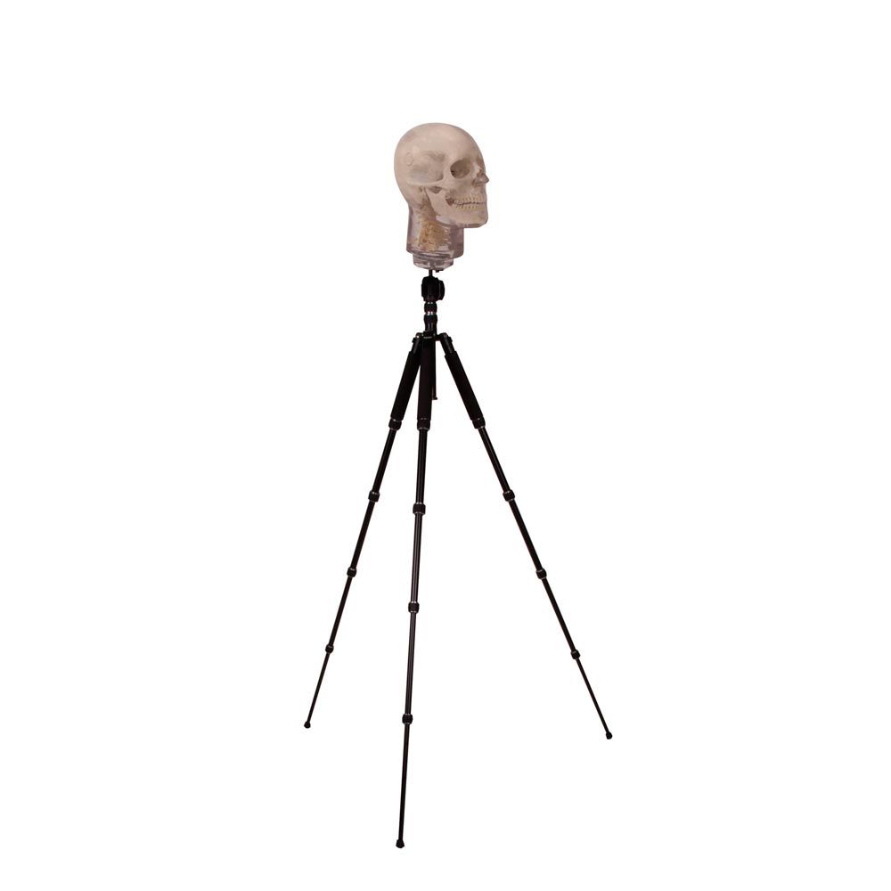 Erler Zimmer Tripod, X-Ray Phantom Head - Extra Robust Design