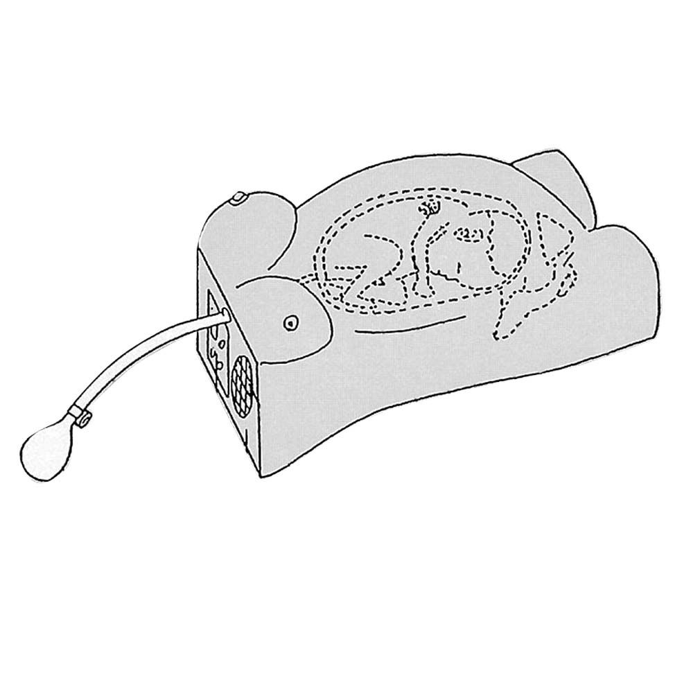 Erler Zimmer Model - Pregnancy Examination w. Heartbeat Simulation