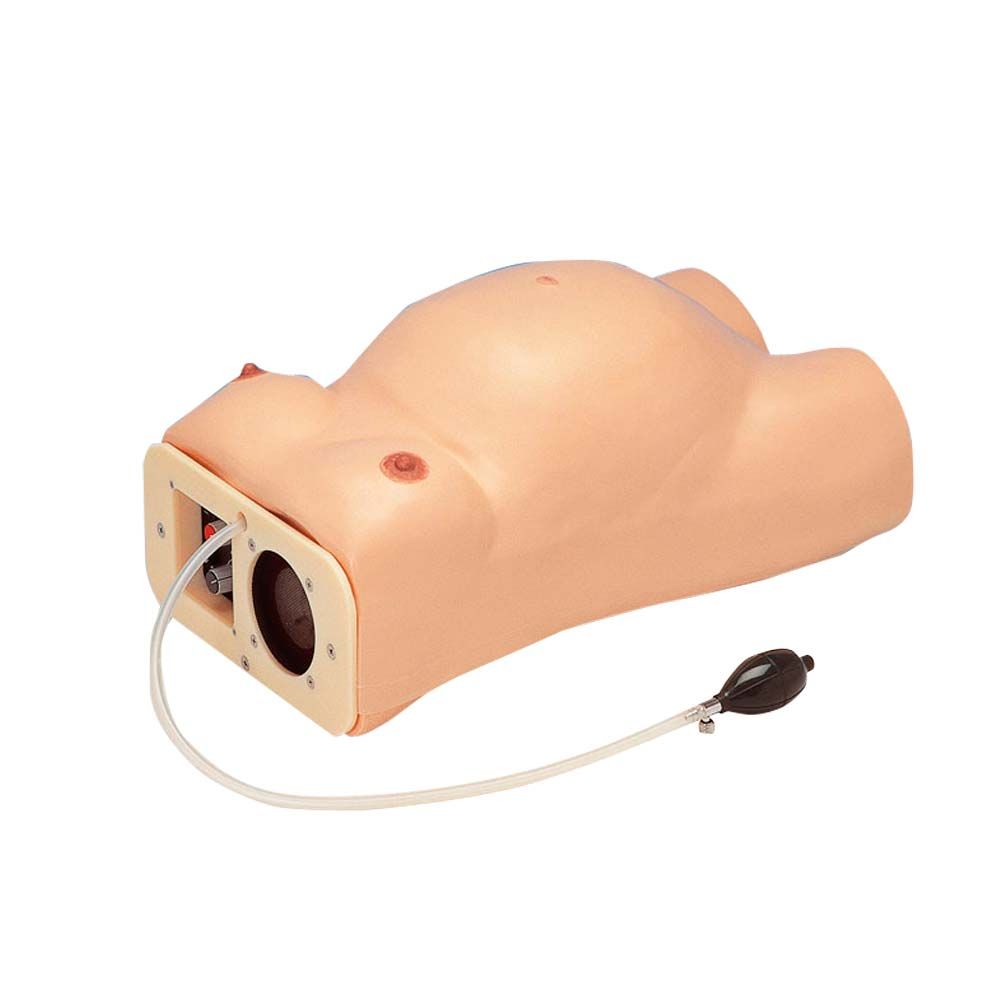 Erler Zimmer Model - Pregnancy Examination w. Heartbeat Simulation