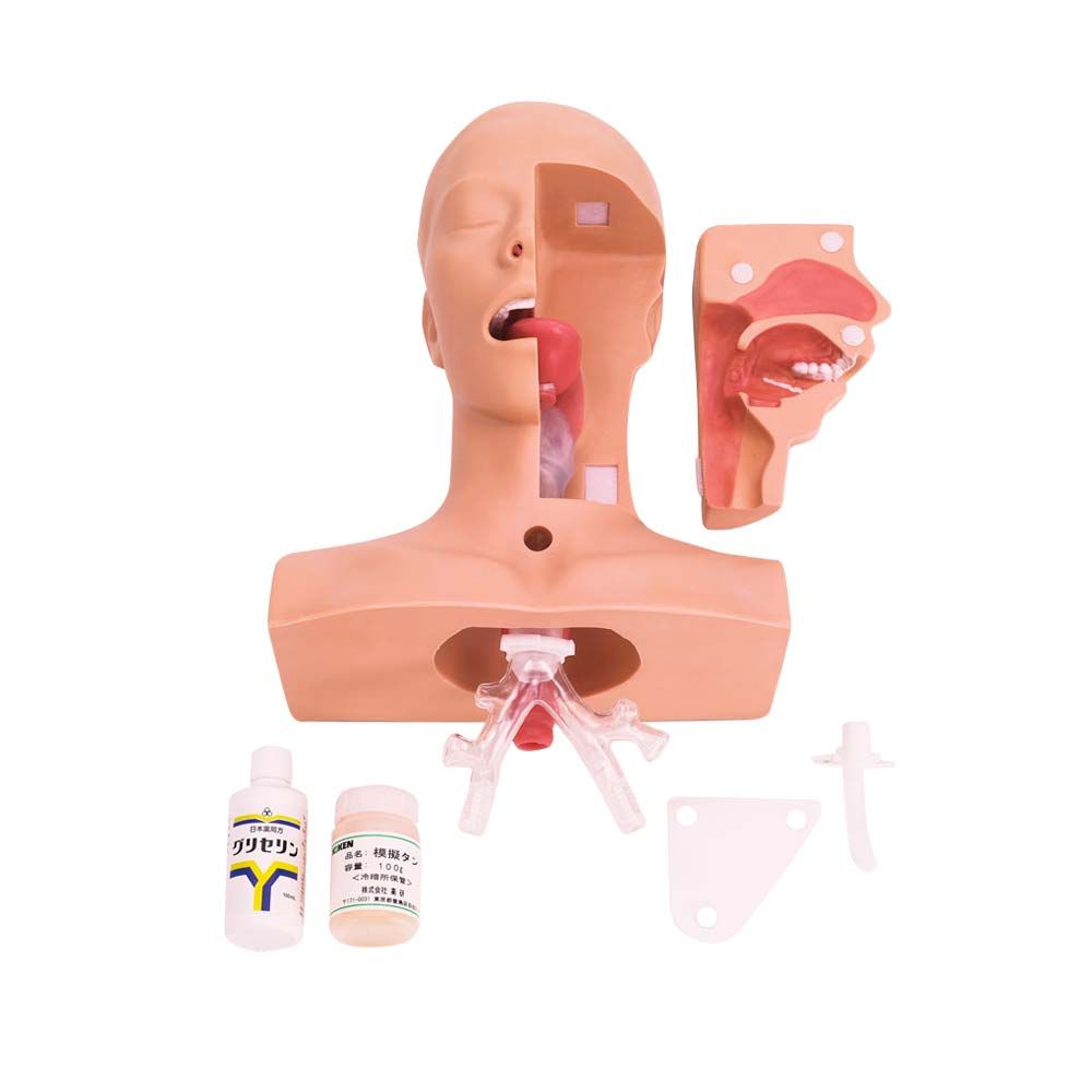 Erler Zimmer Training Model - Nasal and Oral Suctioning Techniques