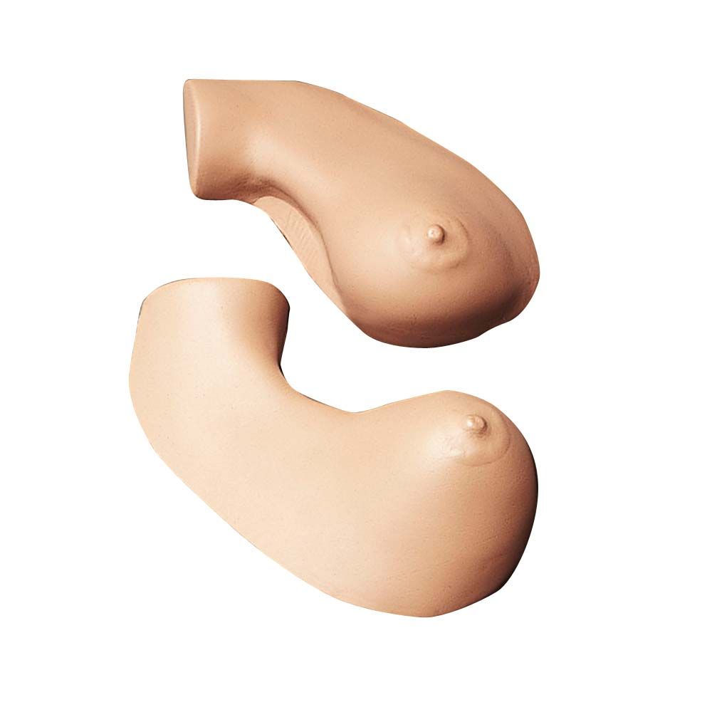 Erler Zimmer Simulator - Breast Self Examination