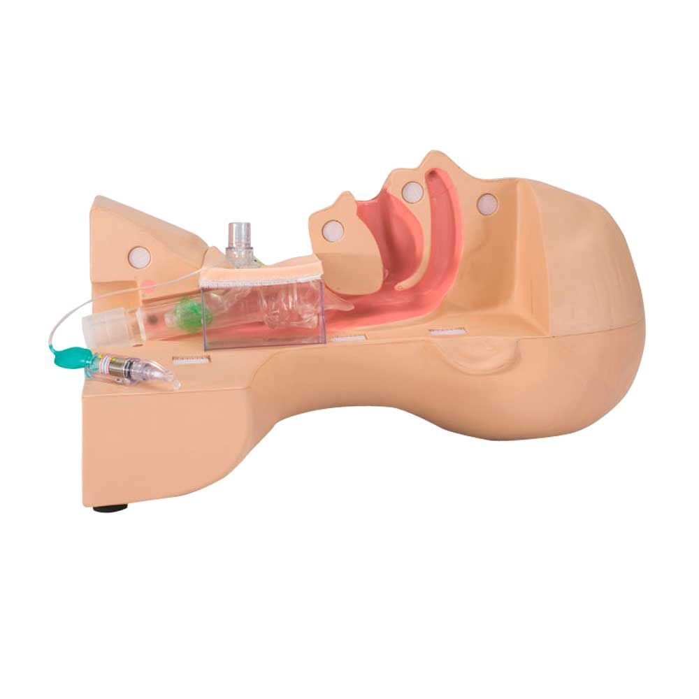 Erler Zimmer Simulator - Tracheostomy Management