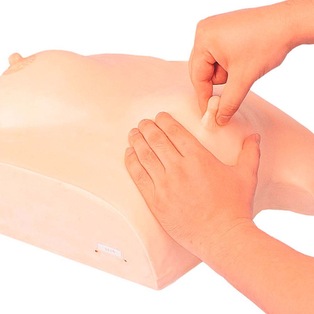 Erler Zimmer Recumbant Model - Breast Care and Massage