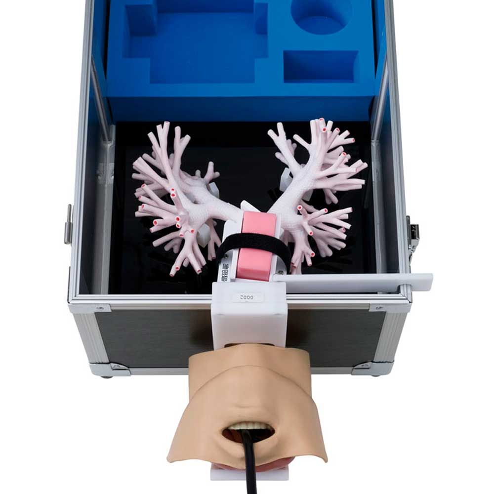 Erler Zimmer Trainer - Ultrasonic Bronchoscopy