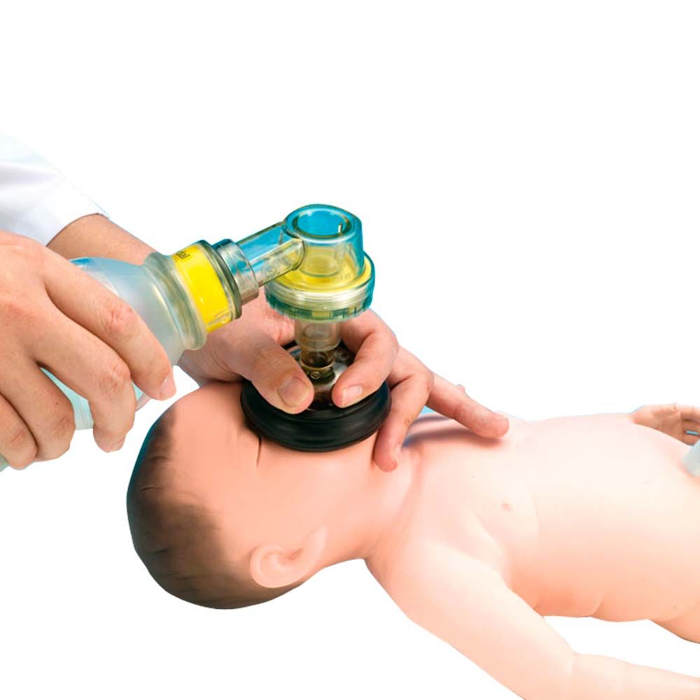 Erler Zimmer Trainer - Intubation and Reanimation Neonate