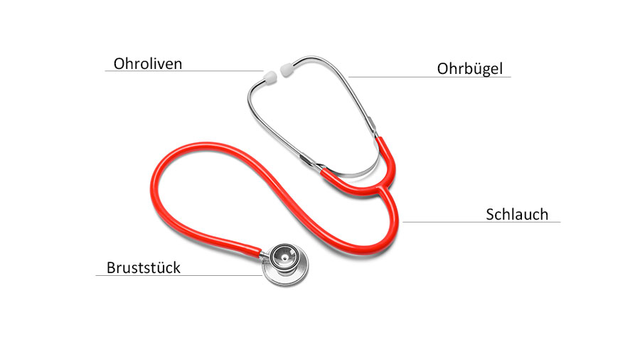Components of a stethoscope