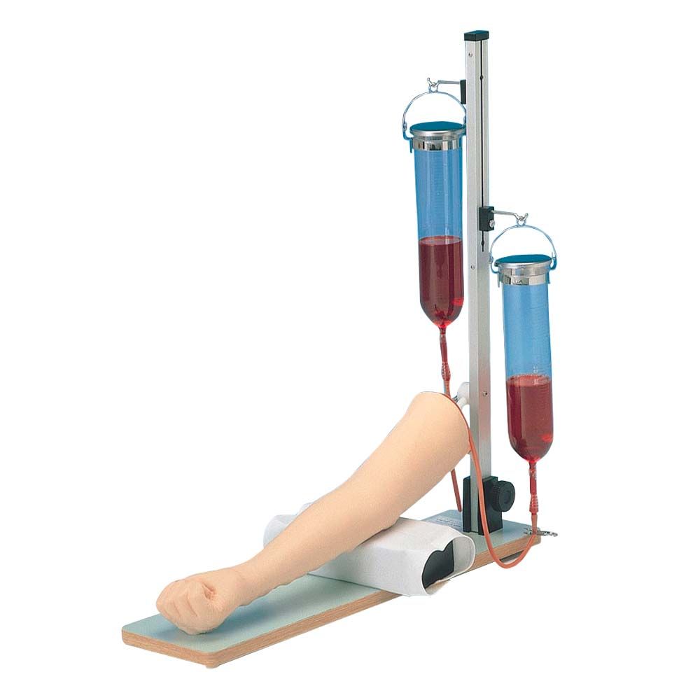 Erler Zimmer Simulator - Injection Practice Arm, Highly Realistic