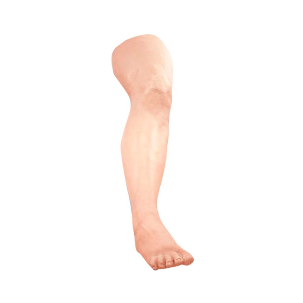 Erler Zimmer Simulator - Suture Practice Leg