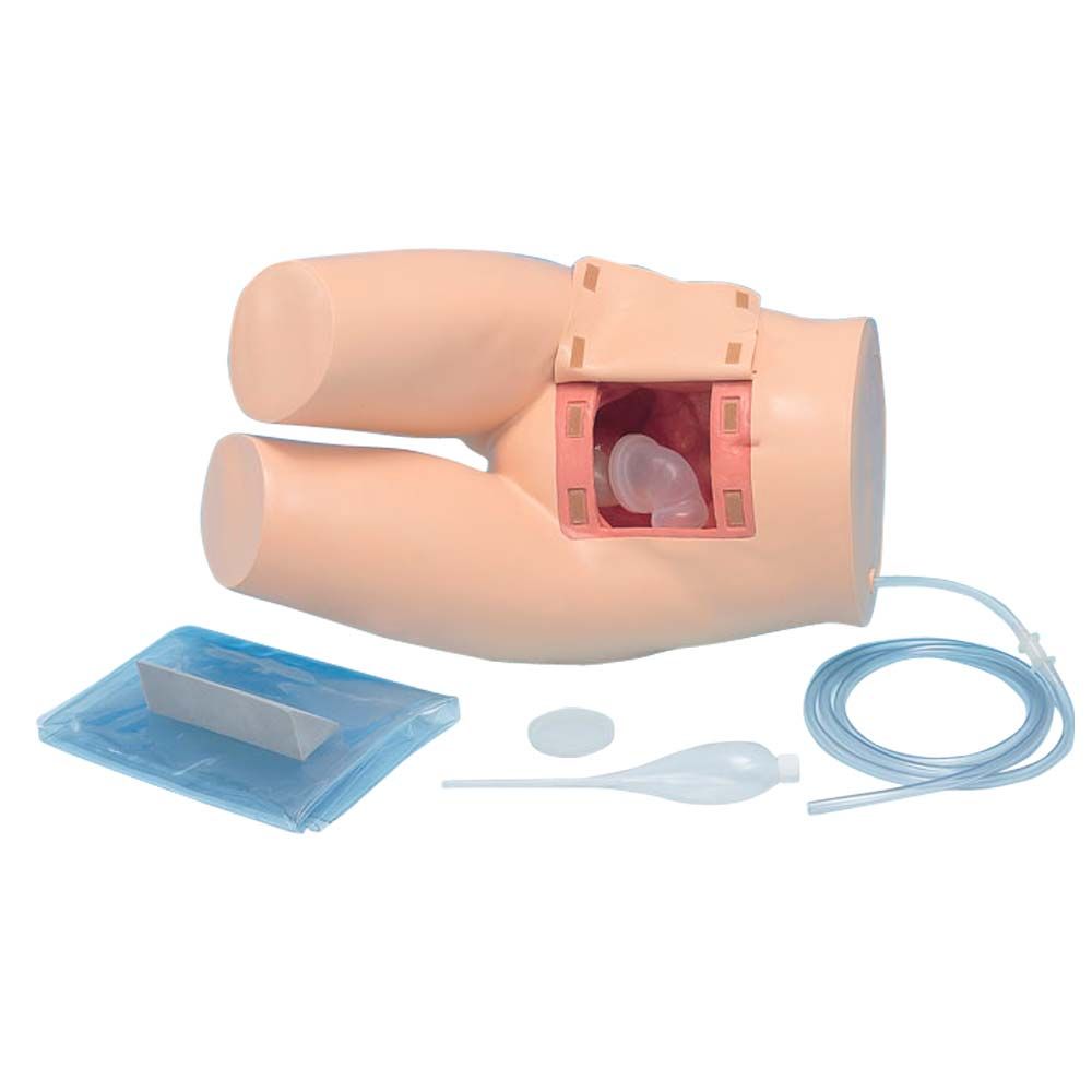 Erler Zimmer - Enema Training Model, Lower Torso