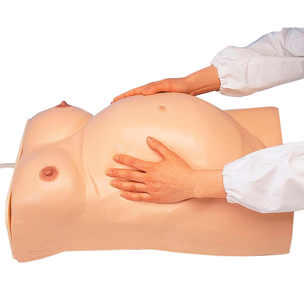 Erler Zimmer Model - Pregnancy Examination w. Heartbeat Simulation