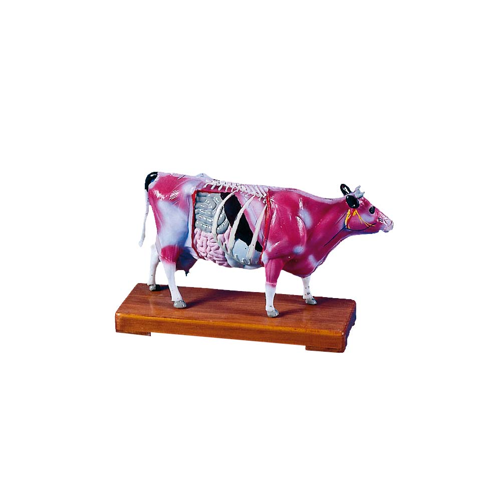 Erler Zimmer Acupuncture Animals with Muscles, Cow, 15cm