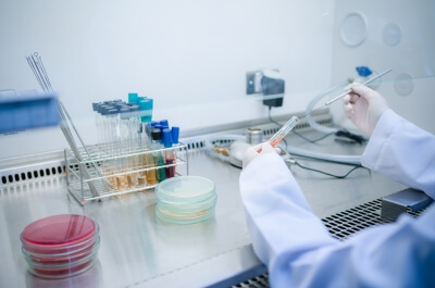 Doctor using laboratory tests to examine bacteria or viruses in the lab