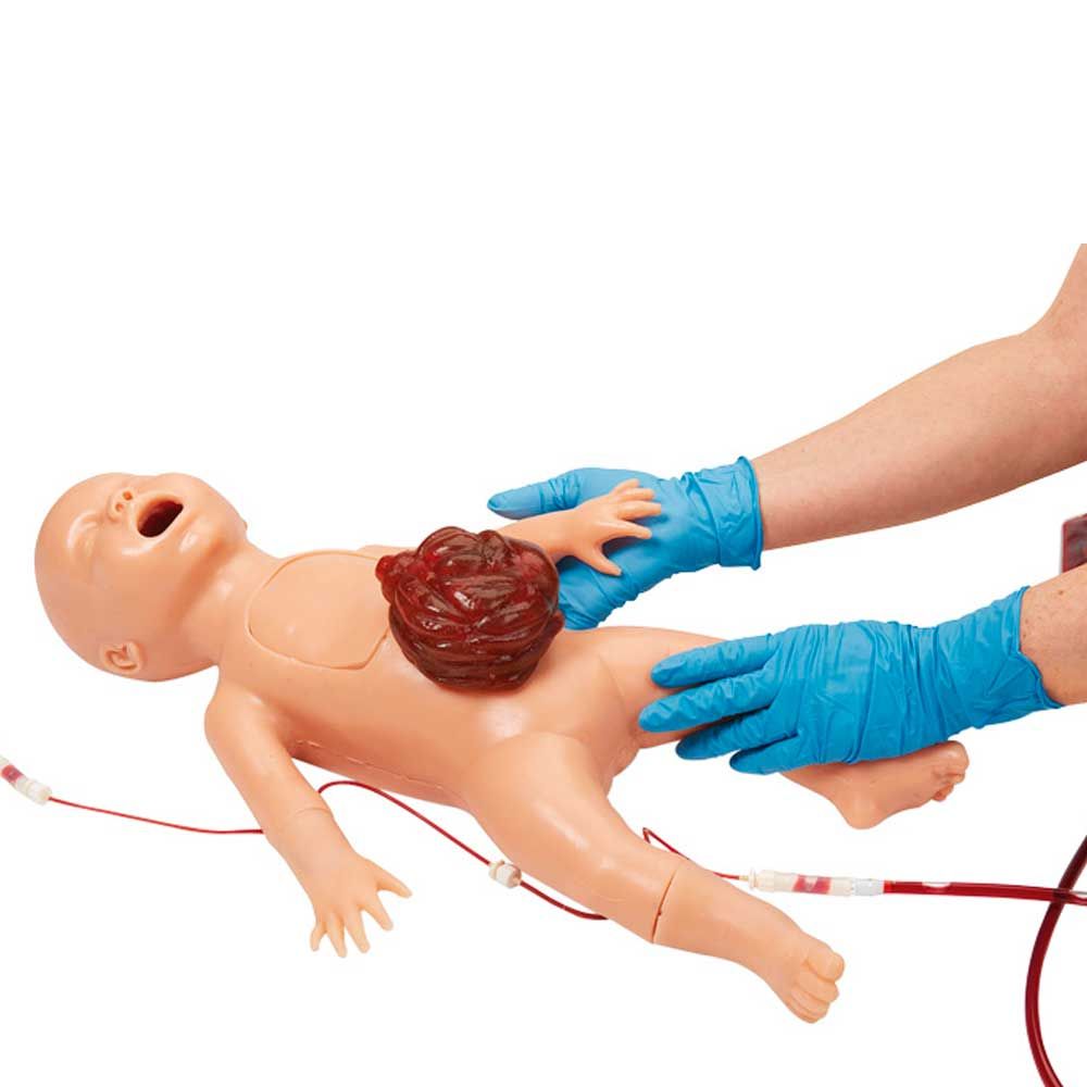 Erler Zimmer Simulator - Newborn Nursing Skills