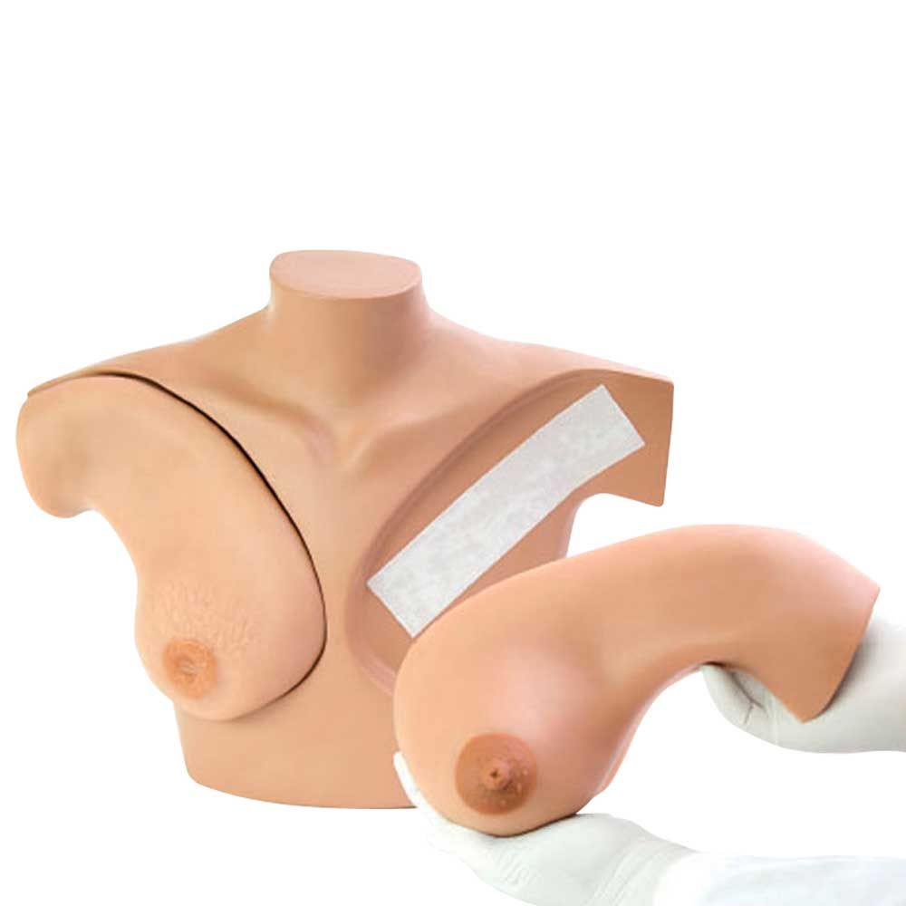 Erler Zimmer Simulator Breast Palpation for Clinical Teaching