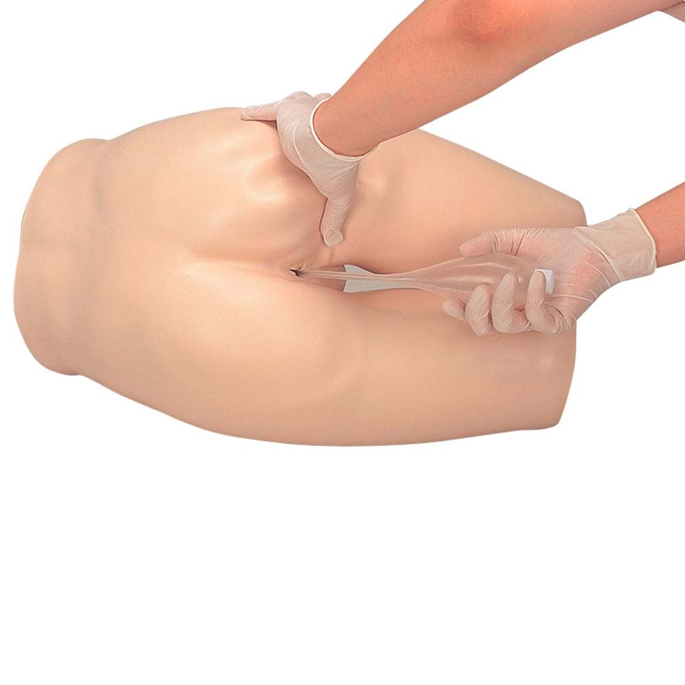 Erler Zimmer - Enema Training Model, Lower Torso