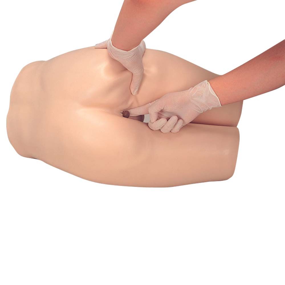 Erler Zimmer - Enema Training Model, Lower Torso