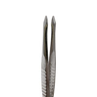 Behrend tweezers, nickel plated 8 cm, various tips