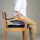 Careline seat lifter CareLift, manual, portable, lightweight, variants