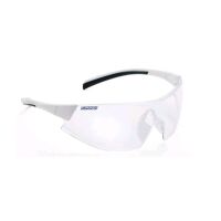 Monoart Schutzbrille Evolution von Euronda, kratzfest,...