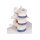 Erler Zimmer lumbar model with disc herniation, can be dismantled