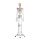 Erler Zimmer full-body skeleton anatomical 1.76 cm, different versions