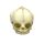Erler Zimmer fetus skull anatomy model, different. Development Weeks