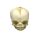 Erler Zimmer fetus skull anatomy model, different. Development Weeks