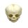 Erler Zimmer fetus skull anatomy model, different. Development Weeks