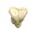 Erler Zimmer fetus skull anatomy model, different. Development Weeks