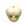 Erler Zimmer fetus skull anatomy model, different. Development Weeks