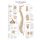 Erler Zimmer The Spine Anatomical Posters, diff. Sizes