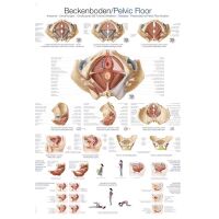 Erler Zimmer "pelvic floor" Instructional...