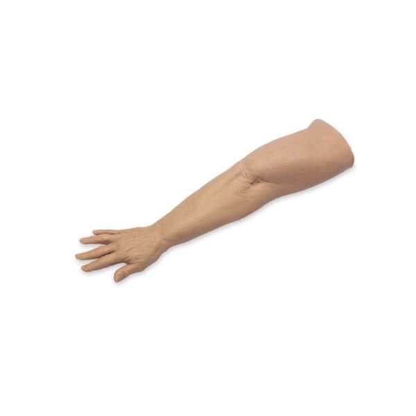 Arm & Hand Models