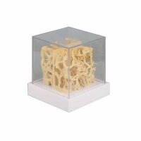 Erler Zimmer Comparision Model - Healthy/Osteoporotic...