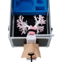 Erler Zimmer Trainer - Ultraschall Bronchoskopie