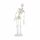Erler Zimmer Miniature Skeleton, Different Variants
