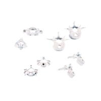 Erler Zimmer Model - 8 Vertebrae, Different Variants