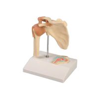 Erler Zimmer Miniature Joint with Cross Section/ Diff. Variants