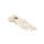 Erler Zimmer Foot Skeleton, Movable, Different Variants