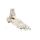 Erler Zimmer Foot Skeleton/Fibula Insertion, Different Variants