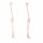 Erler Zimmer Leg Skeleton, Dismountable, with/without Muscle Markings
