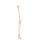 Erler Zimmer Leg Skeleton, Dismountable, with/without Muscle Markings